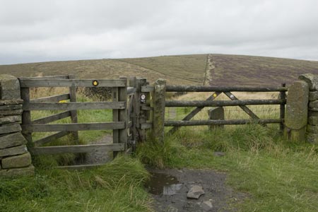 Looking to the summit of Shining Tor