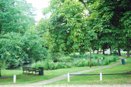 The Village Pond Letchmore Heath