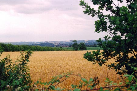 Looking south from the Greensand Ridge near Kings Wood