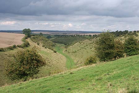 Deep Dale shows the features unique to Yorkshire Wolds