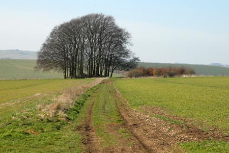 A 'hedgehog' burial mound near Overton Hill