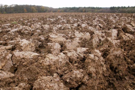 A churned up muddy field near to Little Hampden