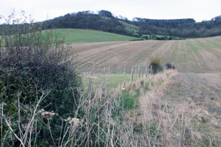 Hills, fields and woods from near to Brimmers Road