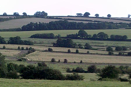 Fields & woodland from High Weald Landscape Trail, Rye
