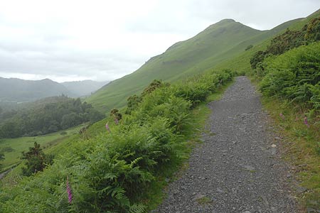 The summit of Cat Bells from the return path