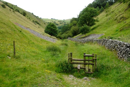 Path in Hall Dale near Stanshope