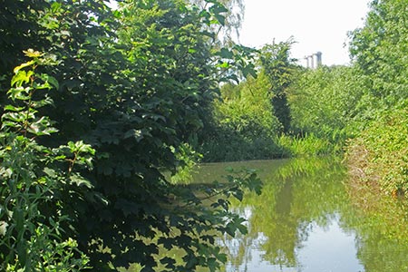 Canal reflections on the Stort Valley Way, Essex
