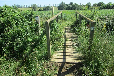 Wooden footbridge on the approach to Epping Upland