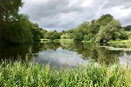 The former mill pond for Walk Mill, Eccleshall