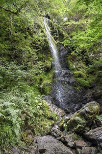 Mallyan Spout waterfall near Goathland