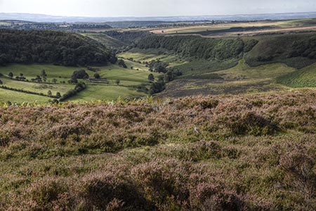 Photo from the walk - Dundale Pond & Hole of Horcum from Saltergate