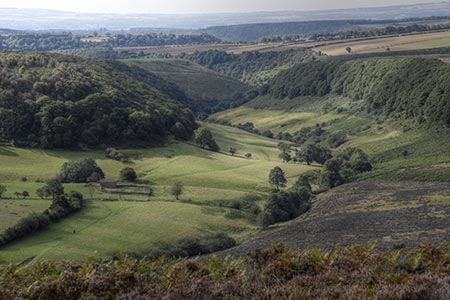The green pastures in the Hole of Horcum