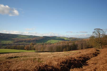 Looking west across Chatsworth Estate from Beeley Hilltop