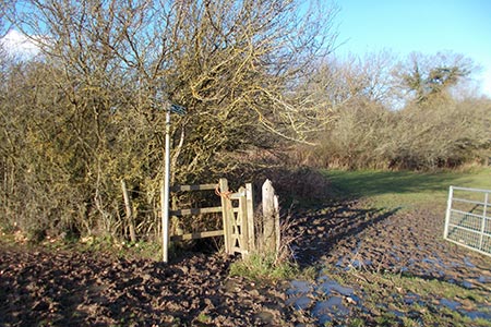 Wet and muddy section before the M25 motorway on the path to Home Wood