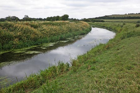 Photo from the walk - River Tone from Stoke St Gregory