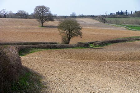 Photo from the walk - Old Burghclere & Burghclere from Beacon Hill