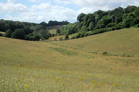 Dry valley near to Norsted Manor Farm
