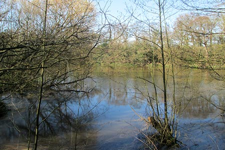 Darland's Lake, near Totteridge, Barnet
