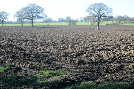 Ploughed field near to Burtonhole Lane, Barnet