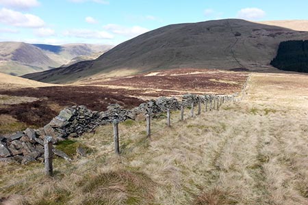 Boundary wall as it descends to Bodesbeck Burn and then climbs Bodesbeck Law