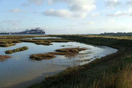 Salt Marsh beside the River Orwell, Suffolk