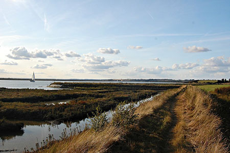 Path and seawall by Cliff Reach west of Burnham-on-Crouch