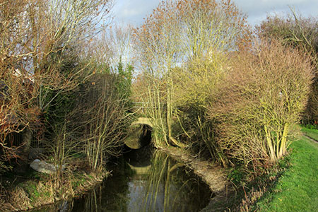Wendover Arm of the Grand Union Canal.