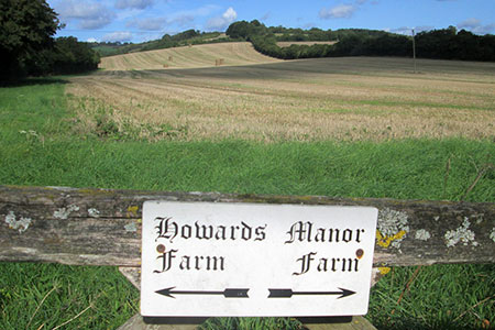 Fields and farmland on the St. Swithun's Way
