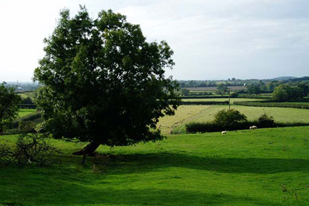 Farmland near Morton Underhill
