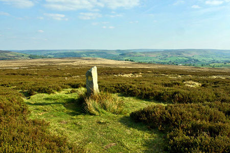 Photo from the walk - Commondale & Esk Valley from Danby