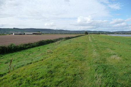 Photo from the walk - River Severn from Arlingham