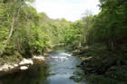 Photo from the walk - Barden Bridge & the Strid from Bolton Abbey