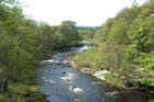 Photo from the walk - Barden Bridge & the Strid from Bolton Abbey