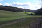 Photo from the walk - Farleigh Wallop and Ellisfield from Cliddesden
