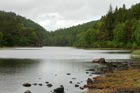 Photo from the walk - Two lakes of the Gwydir Forest - Llyn Elsi and Llyn Parc