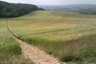 Photo from the walk - Wye and the Crundale Downs
