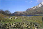 Photo from the walk - A circuit of Buttermere from Buttermere village