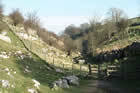 Photo from the walk - Bradford and Lathkill Dales from Monyash