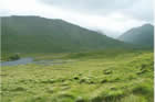 Photo from the walk - Fraoch Bheinn from Strathan, Loch Arkaig