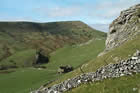 Photo from the walk - Chrome Hill from Holinsclough