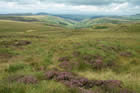 Photo from the walk - Windy Gyle from Coquet Valley