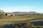 Photo from the walk - Ingleborough & Park Fell from Chapel-le-Dale