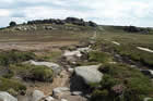 Photo from the walk - Back Tor & the Wheel Stones from Fairholme
