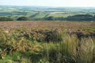 Photo from the walk - Dunkery Beacon from Wheddon Cross