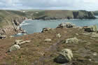 Photo from the walk - Porthcurno to Land's End & Sennen Cove