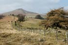 Photo from the walk - The Sugar Loaf from near Abergavenny