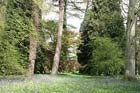 Westonbirt Arboretum from Tetbury