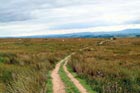 Photo from the walk - Calton and Hanlith Moors from Airton