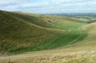 Photo from the walk - The Lambourn Downs