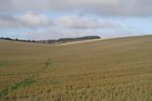 Photo from the walk - Hannington from Kingsclere